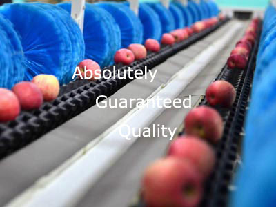 absolutely guaranteed quality